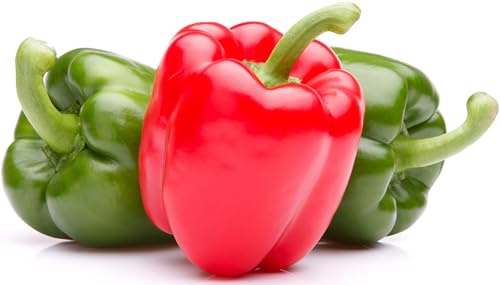 Bell Pepper Seeds for Planting - California Wonder - Heirloom Non-GMO Pepper Seeds for Planting - 100 Seeds - Sweet Pepper Matures from Green to Red by RDR Seeds