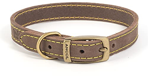 Ancol Timberwolf - Collare per Cani in Pelle di zibellino, con Fibbia in Oro Antico, Resistente all'Acqua e allo Sporco, 35-43 cm, Taglia 4
