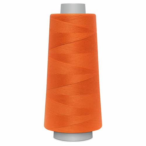 Gütermann Toldi-Lock 100% Polyester Fb. 2430-2.500 M Nähgarn, Polyester, Taupe, 12 x 5, cm, 1 Einheiten