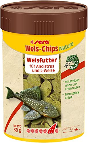 sera Pleco Chips 100 ml (38 g) | Wels Futtertabletten Chips für gesunde Bodenfische | Welsfutter Aquarium mit hoher Futterverwertbarkeit | Wels Futter | Fischfutter Aquarium Made in Germany