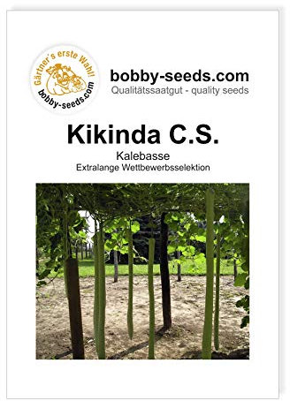 Kürbissamen Kikinda Competition Strain Portion