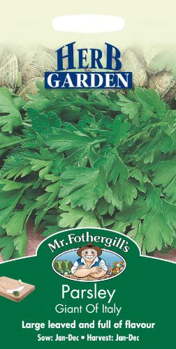 Mr Fothergills - Herb - Parsley - Giant of Italy - 750 Seed