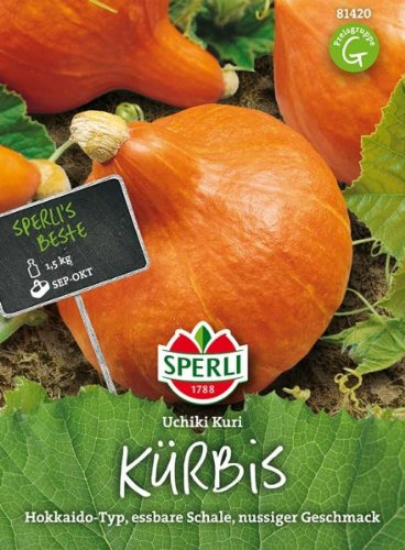 Sperli Kürbis Uchiki Kuri (Hokkaido-Typ)