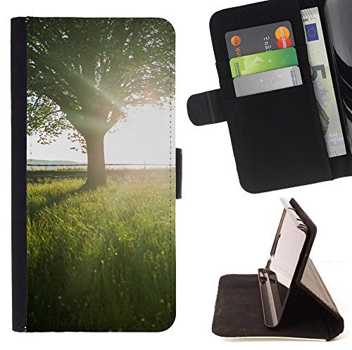 Roger Orfebre - Pica aceitunas madera boj