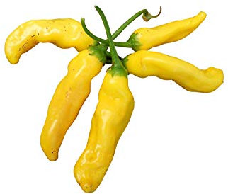 10 Semillas Aji Pineapple -Chile piña- By Samenchilishop