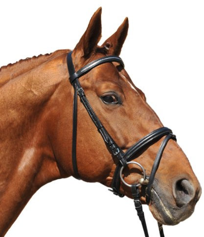 HKM Reittrense Ida, Pony, braun