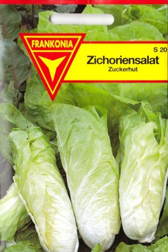 Zichoriensalat, Zuckerhut, ca. 250 Samen