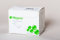 Mepore 99XX0097 Dressing, 6cm x 7cm, Pack of 60, White
