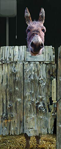 Plage 141005 Adhesivo de decoración para Puertas, trampantojo Puerta-Burro, 204 x 83 cm
