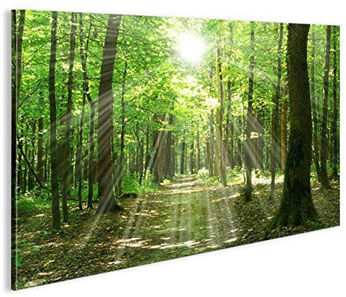 islandburner Bild Bilder auf Leinwand Sonnenstrahlen im Wald Bäume Spaziergang 1p XXL Poster Leinwandbild Wandbild Dekoartikel Wohnzimmer Marke