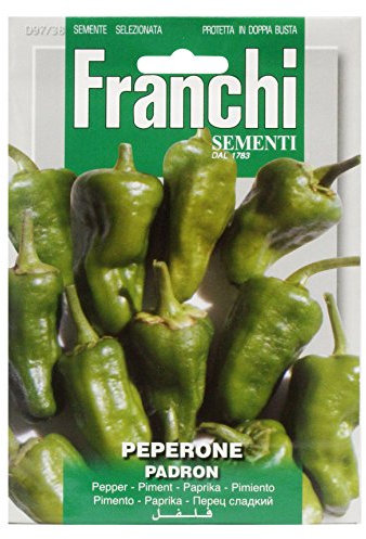 Franchi Pepper Padron