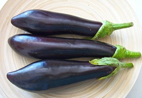 MELANZANA LUNGA DI NAPOLI 3 NR.300 SEMI