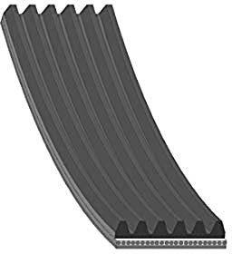 FEBI BILSTEIN Cinghia Poly-V 28915