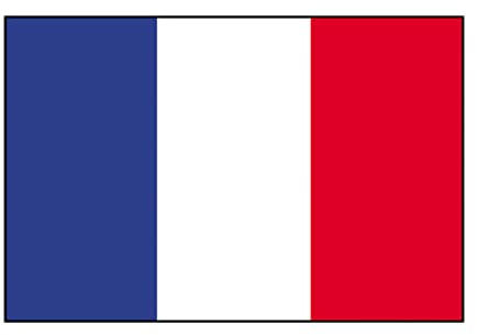 ARKRAFT Lot de 2 drapeaux format 150 x 90 cm (FR)