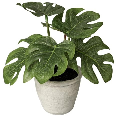 CREATIV green künstliche Monstera 20cm im Zementtopf mit naturgetreuen Blättern I Künstliche grüne Zimmerpflanze im Topf I künstliche Grünpflanze im Topf I hochwertige Kunstpflanze für innen