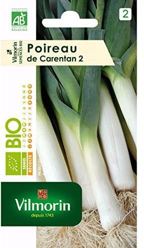 Poireau de Carentan 2 - BIO