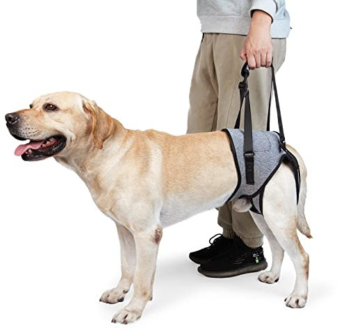 Dotoner Hundehebegeschirr, Hundestützgeschirr für die Hinterbeine, weiche Hundestützschlaufe für verletzte behinderte kleine, mittlere und große Hunde, Hundeschlaufe für die Hinterbeine(Grau,L)