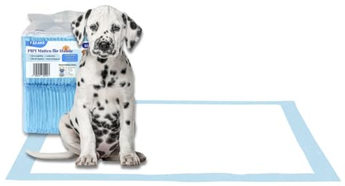 Fazlanix PIPI Matten für Hunde,100 Stück, 60x60cm Trainingspads , Hunde PIPI Unterlagen, Super saugfähig, auslaufsicher, 6-Schichten, ideal für Welpen, Hunde & ältere Haustiere