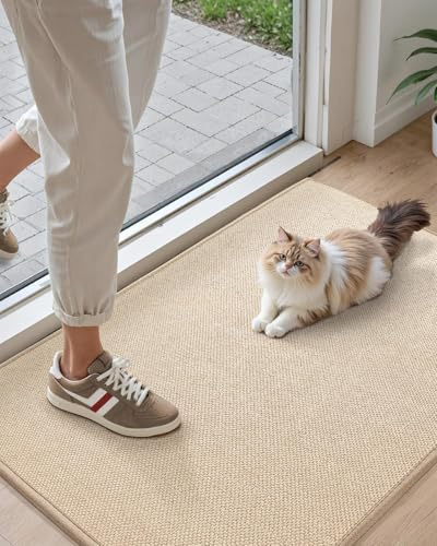 COLOR&GEOMETRY Door Matts Indoor 44x76 cm, Doormat Indoor Non-slip Dirt Trapper, Absorbent Inside Entrance Rug, Washable Low Profile Front Door Mats for Entryway, Beige(Rolled-up NO Creases)