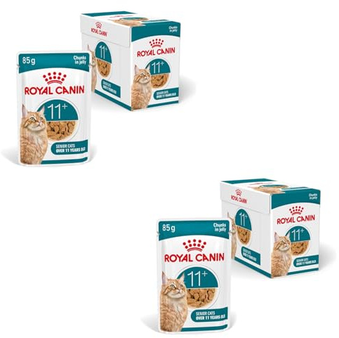 ROYAL CANIN AGEING 11+ Jelly | Confezione doppia | 2 x 12 x 85 g | Cibo umido per gatti senior dai 11 anni in su | Formula con HealthyAge7™ Complex | Pezzetti in gelatina
