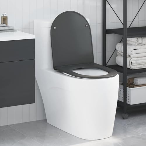 Siège de toilette avec système d'abaissement automatique, siège de toilette à fermeture rapide - Anthracite - 44 x 36,4 x 3,4 cm - Accessoire de douche pour la plupart des toilettes