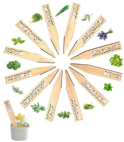 T TAKONE Set di 12 targhette per erbe aromatiche in bambù, resistenti alle intemperie e bellissime spine per erbe aromatiche, perfette come decorazione per piante e cartelli da giardino