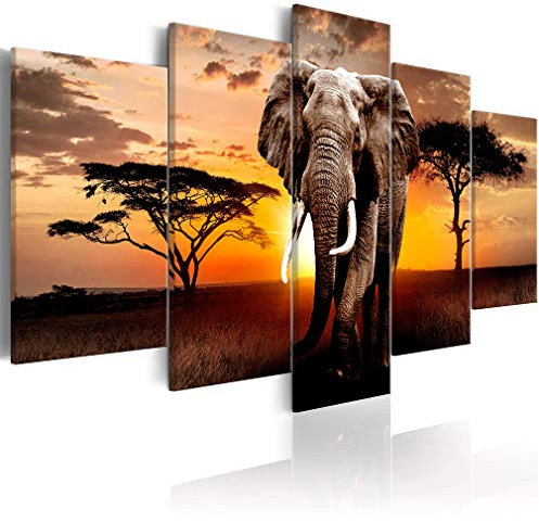 decomonkey Bilder Afrika Tiere 200x100 cm 5 Teilig Leinwandbilder Bild auf Leinwand Wandbild Kunstdruck Wanddeko Wand Wohnzimmer Wanddekoration Deko