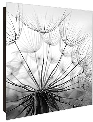 banjado Großer Schlüsselkasten Glas - Schlüsselbox 30x30cm mit 50 Haken - Schlüsselkasten modern für Schlüsselaufbewahrung mit beschreibbarer, magnetischer Glastür - Motiv Pusteblume