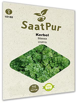 SaatPur Kerbel Samen, Saatgut für ca. 200 Pflanzen