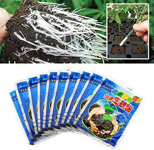 BUNRUN Lot de 10 sachets de poudre d'enracinement 10 g - Aide à la germination des fleurs, anthères - Poudre d'enracinement pour améliorer le taux de survie