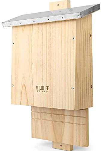 WILDLIFE FRIEND | Casa per Pipistrelli con tetto in metallo - già montata casa pipistrelli legno di pino e 100% resistente - Rifugio per pipistrelli usabile tutto l'anno - 4.1P x 11l x 18.5H cm