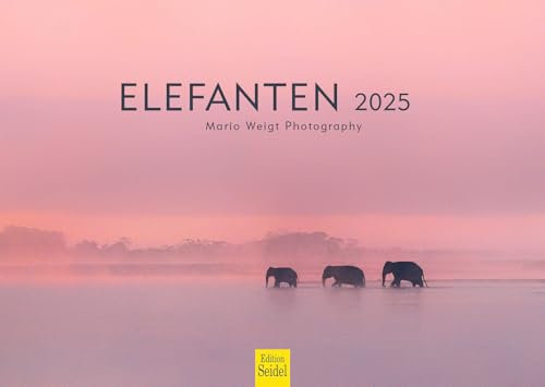 Edition Seidel Premium Kalender Elefanten 2025 Format DIN A3 Wandkalender Tierkalender Tiere Elefant Wildtier Natur Mario Weigt