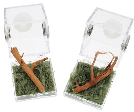 BESPORTBLE Spinnen Lebensraumbox Satz 2 Kleine Haustierbox Transparent Leicht Für Insekten Spinnen Und Reptilien Für Zuhause Und Outdoor