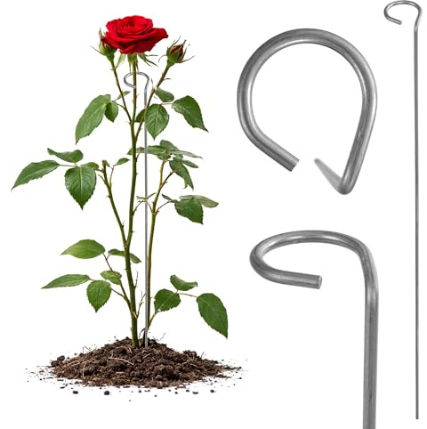 KADAX Pflanzehalter aus Stahl pulverbeschichtet, wetterfeste Blumenstütze, Pflanzestütze, Rankhilfe für Pflanzen, Garten, Balkon, Staudenhalter (Höhe: 60 cm)