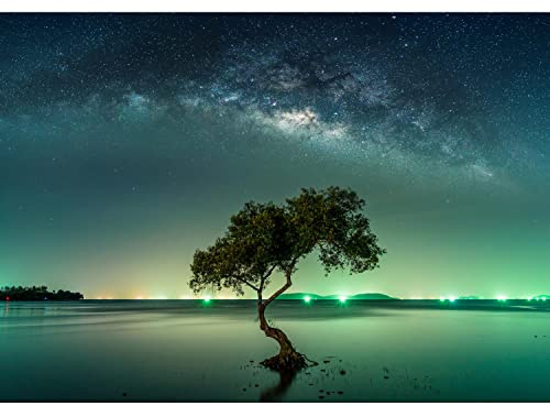 Runa Art Fototapete Nachthimmel Baum 352 x 250 cm Vlies Tapeten XXL Moderne Wandtapete Wohnzimmer Schlafzimmer Grün 9590011a