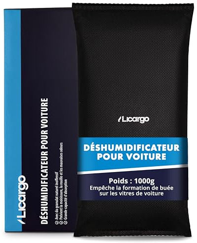 LICARGO Deumidificatore Auto 1 kg - Deumidificatore Interno Riutilizzabile, Cuscino Umidità per Auto