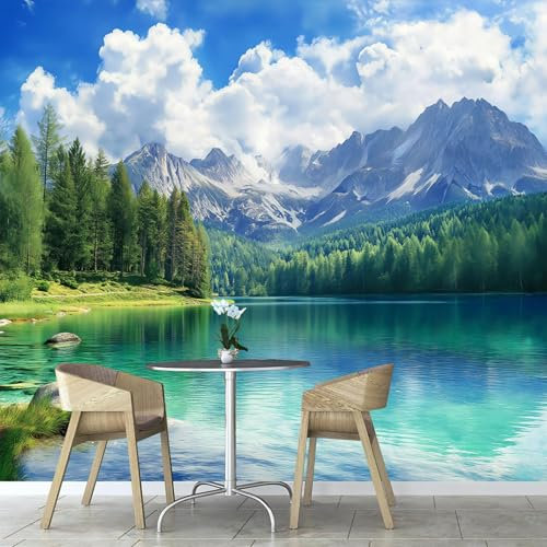ANALTIRCE Carta Da Parati Fotomurale Natura Foresta Fotomurali Camera Da Letto Ufficio Soggiorno Decorazione Muro Murales, 300×210cm Montagna Innevata Nuvole Fotomurale Per Soggiorno