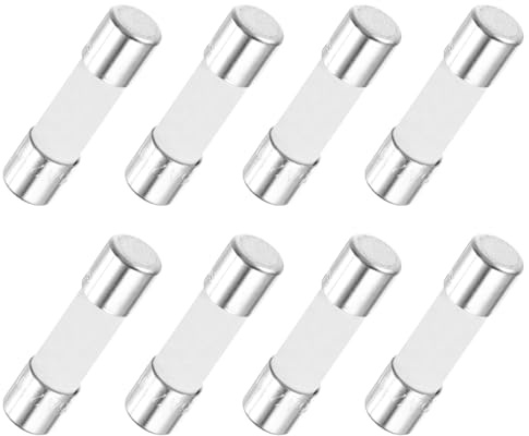 QUARKZMAN 8er Packung Keramik Sicherung 15A, Träge Feinsicherung 5x20mm Glassicherung 250V für Lichtern, Elektronik