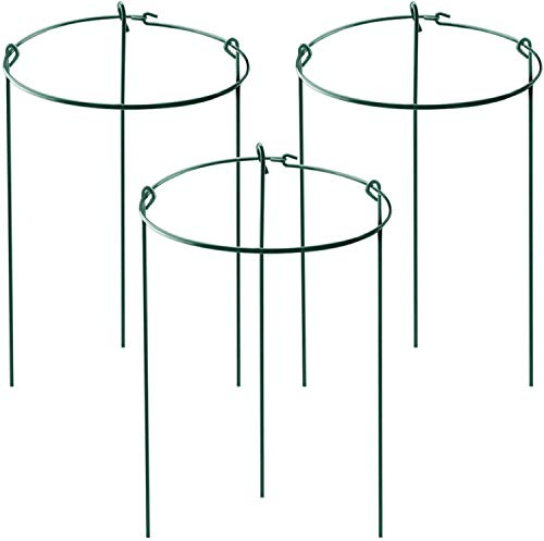 HiGift 3 Pack Peony Cages Support Stakes Ring for Garden, Round Plant Support for Outdoor (10 W x 17 H), Indoor Plant Cages Hoops Plant Rings for Tomatoes,Rose,Astilbes,Vine Indoor Potted Plants