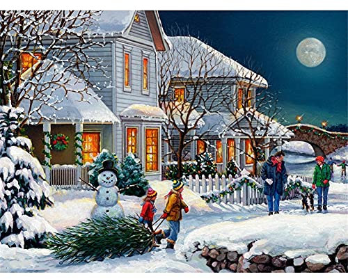 DIY 5D Diamant Painting Bilder Full Groß Winterlandschaft Diamant Gemälde Malen nach Zahlen Kit Diamant Malerei Mosaik Kreuzstich Strass Gemälde Wall/Eingang/Büro Dekorationen 40x60cm