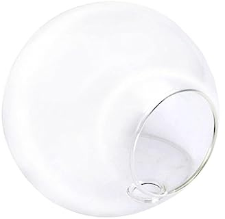 Hängende Glasvase aus Hochborosilikatglas für Wohnraum und Büro | Wandmontage, Glasblumenpflanzgefäß für Innenbereiche, Temperaturbeständig, zur Raumgestaltung