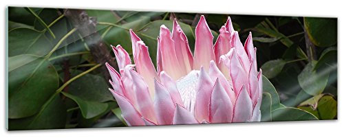 Glasbild - Lotusblüte - 120 x 40 cm - Deko Glas - Wandbild aus Glas - Bild auf Glas - Moderne Glasbilder - Glasfoto - Echtglas - kein Acryl - Handmade