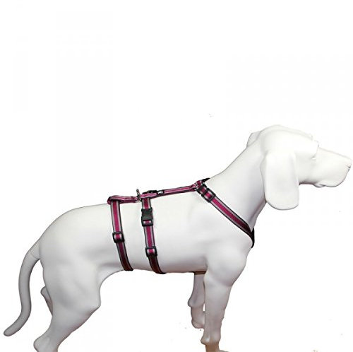 Hoffmann Das Original - NoExit Hundegeschirr ® - 100% ausbruchsicher für Angsthunde, Panikgeschirr, Pflaume Muster, Bauchumfang 75-100 cm, 25 mm Bandbreite