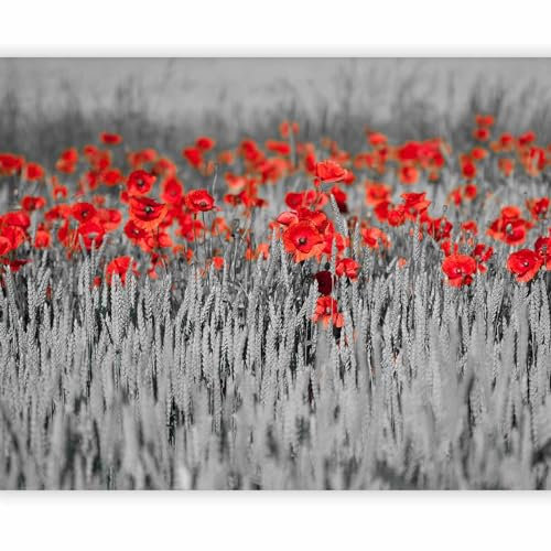 murando Fotomurales Amapolas Flores 300x231 cm XXL Papel pintado tejido no tejido Decoración de Pared decorativos Murales moderna de Diseno Fotográfico 100406-10