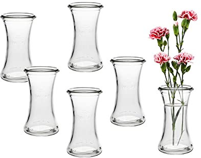 6 Stück Runde Mini Vasen Typ200 Glasfläschchen kleine Dekoflaschen Flasche Väschen Vase Glasflaschen Blumenvase (6 Stück)