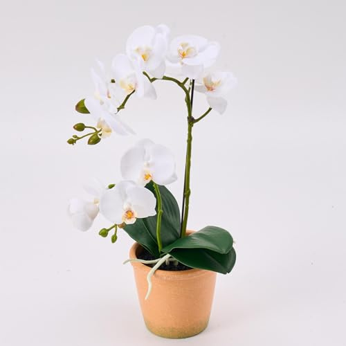 Avoeco Artificial Real Touch Orchid Plant – 15 Faux Phalaenopsis in Pot – Highly Realistic Silk Orchid Flower & Leaf Texture for Home, Office,Shop & Wedding Décor (1 White, 15“)