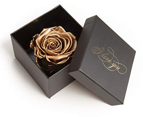 Infinity Rose konserviert Rosenbox I LOVE YOU Geschenk für Frauen Weihnachten (1 Rose, Schwarz-Gold)