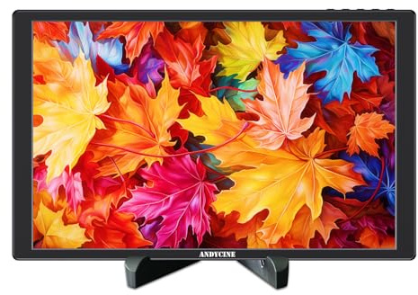 ANDYCINE N10 10.1 Pulgadas Pantalla táctil portátil 1920 x 1200 con 75 mm Vesa, Image Flip, Monitor Externo portátil, Compatible con teleprompter, PC, cámara, vigilancia CCTV y Consolas de Juegos