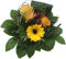 Blumenstrauß -Sunshine - inkl. kostenloser Karte Blumenversand