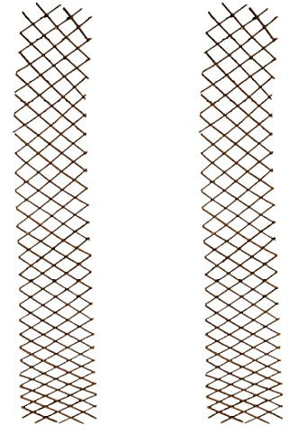 Selections Expanding Willow Trellis for Climbing Garden Plants 30cm wide - Pack of 2